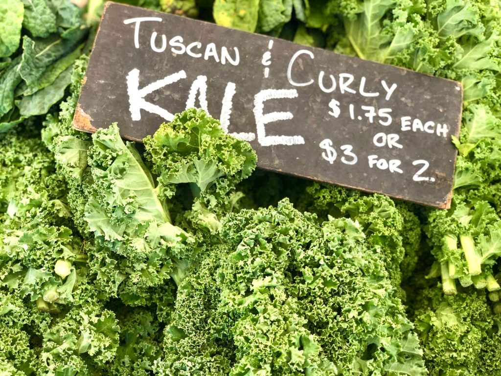 kale-3-scaled.jpg