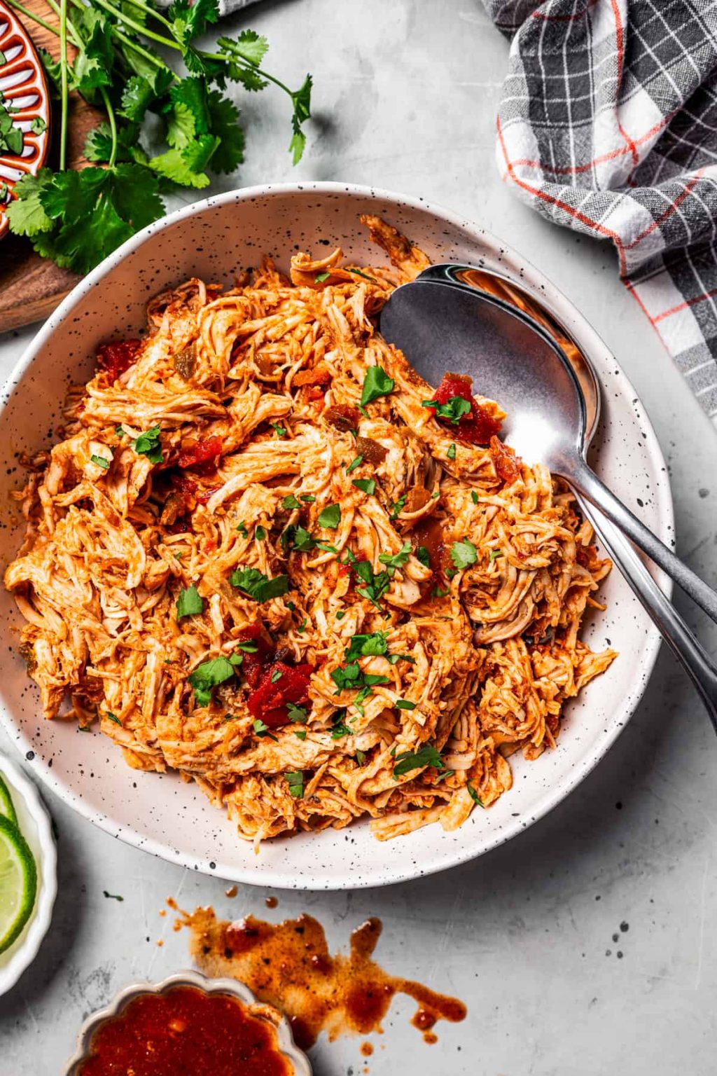 pulled-chicken-4.jpg