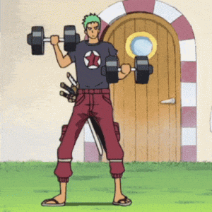 zoro-roronoa-zoro.gif