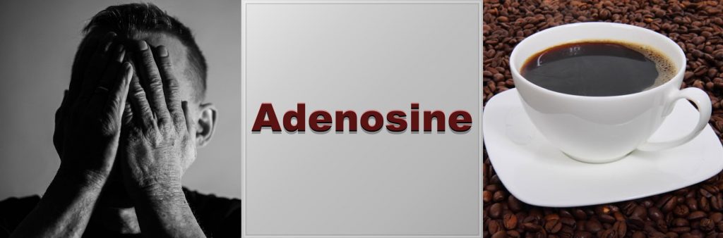 adenosine-is-the-metab.jpg